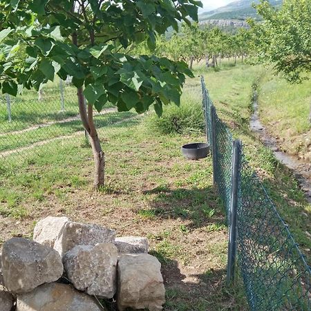 Stone House Vlasta Drnis Ngoại thất bức ảnh