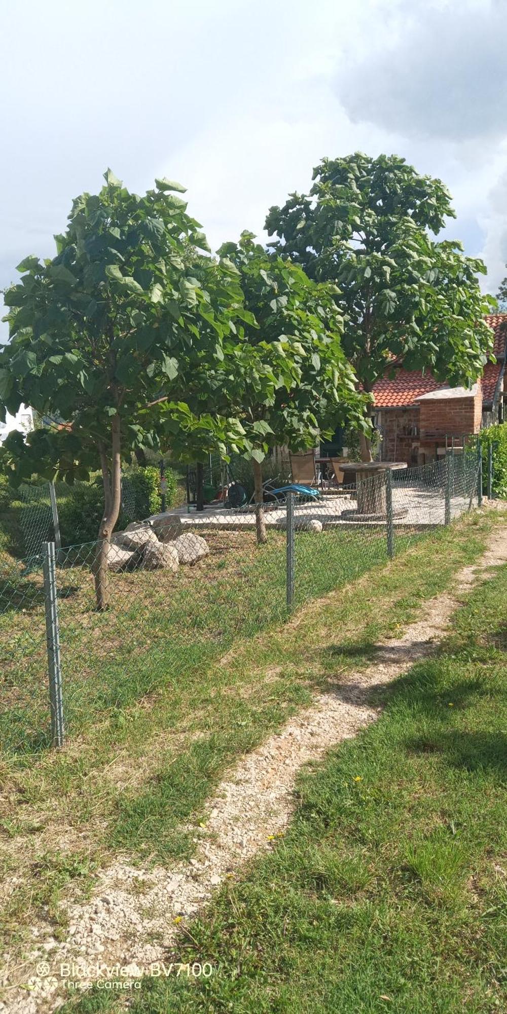 Stone House Vlasta Drnis Ngoại thất bức ảnh
